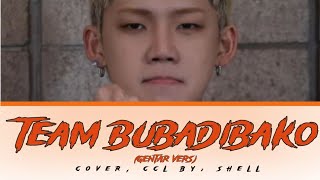 [FAST COVER] TEAM BUBADIBAKO - COVER BY SHELL || ORIGINAL BY BOBOIBOY, ADUDU, AND GOPAL