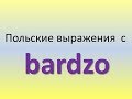 Польский  Тема Выражения с Bardzo