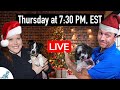 Answering Your Puppy Training Questions (LIVE Show!)