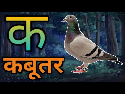 k se kabutar | ka se kabutar | k se kabutar kha se khargosh Hindi Kids
