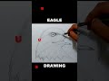 eagle art #shorts Drawing Eagle with pencil #art #draw #drawing #trending #viral