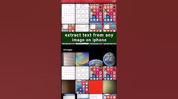 Extract text from any image on iPhone 😂 II #shorts #viral #video