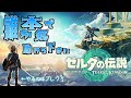【ゼルダの伝説】ティアーズオブキングダムに行きたいから下準備しっかりするんだ!!