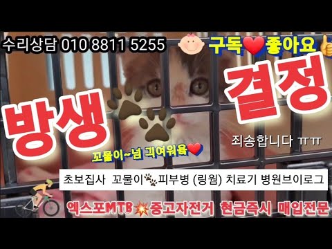 튼튼동물병원