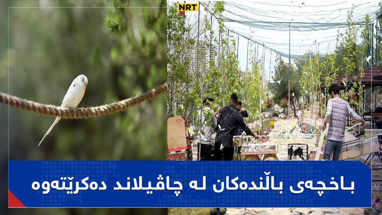 ماڵی باڵندەکان، لە چاڤیلاند گەورەترین شوێن بۆ بینینی زیاتر لە ١٠٠٠٠ جۆری باڵندە کرایەوە