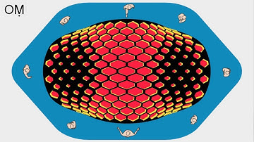 grasshopper lunchbox tutorial - Hexagon Cells (Double Curvature)