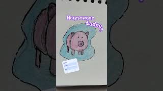 świnka halinka
