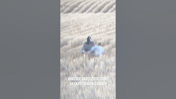 1:100,000 oddball. Very cool find while out scouting. Saskatchewan goose hunting