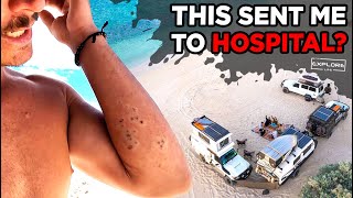 REMOTE CAMPING GONE WRONG! DON'T GET STUNG BY THIS!