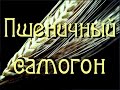 Самогонщик Тимофей. Пшеничный самогон. Всенародный дистиллятор.