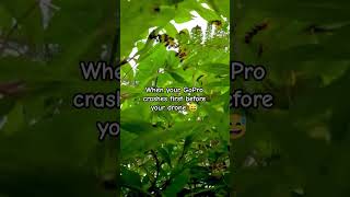 Wait hol up! 😂  #Drones #FPVAddict #Fpvlife #fpvlifestyle #Multirotor #Quad #quadcopter
