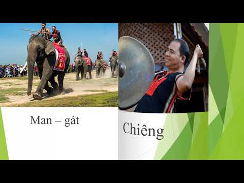Bài giảng Tập đọc lớp 3: Hội đua voi ở Tây Nguyên