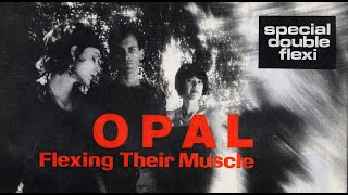 Opal ~ '45s, EPs, Rare & Promo Cassette Tracks Collection