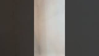 Видеоурок как шпаклевать стены.