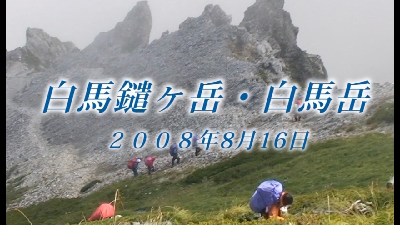 210 北アルプス 白馬岳8月2008年8月16日 白馬鑓ヶ岳～白馬大雪渓 - 生物多様性体験保全センター 高山植物を主とした野生植物の映像集