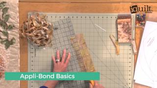Easy Appli-Bond Bald Eagle iquilt Course Picture Of Quilted Eagle