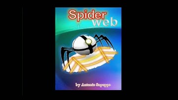 Spiderweb: a social mobile network