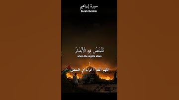 سورة إبراهيم ﴿وَلَا تَحْسَبَنَّ اللَّهَ غَافِلًا عَمَّا يَعْمَلُ الظَّالِمُونَ﴾ القارئ شريف مصطفى