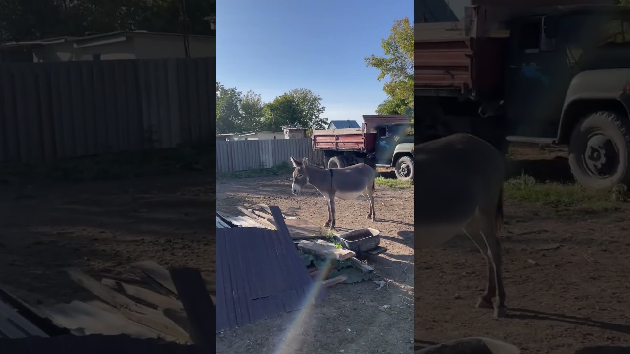 курс в зко аксай