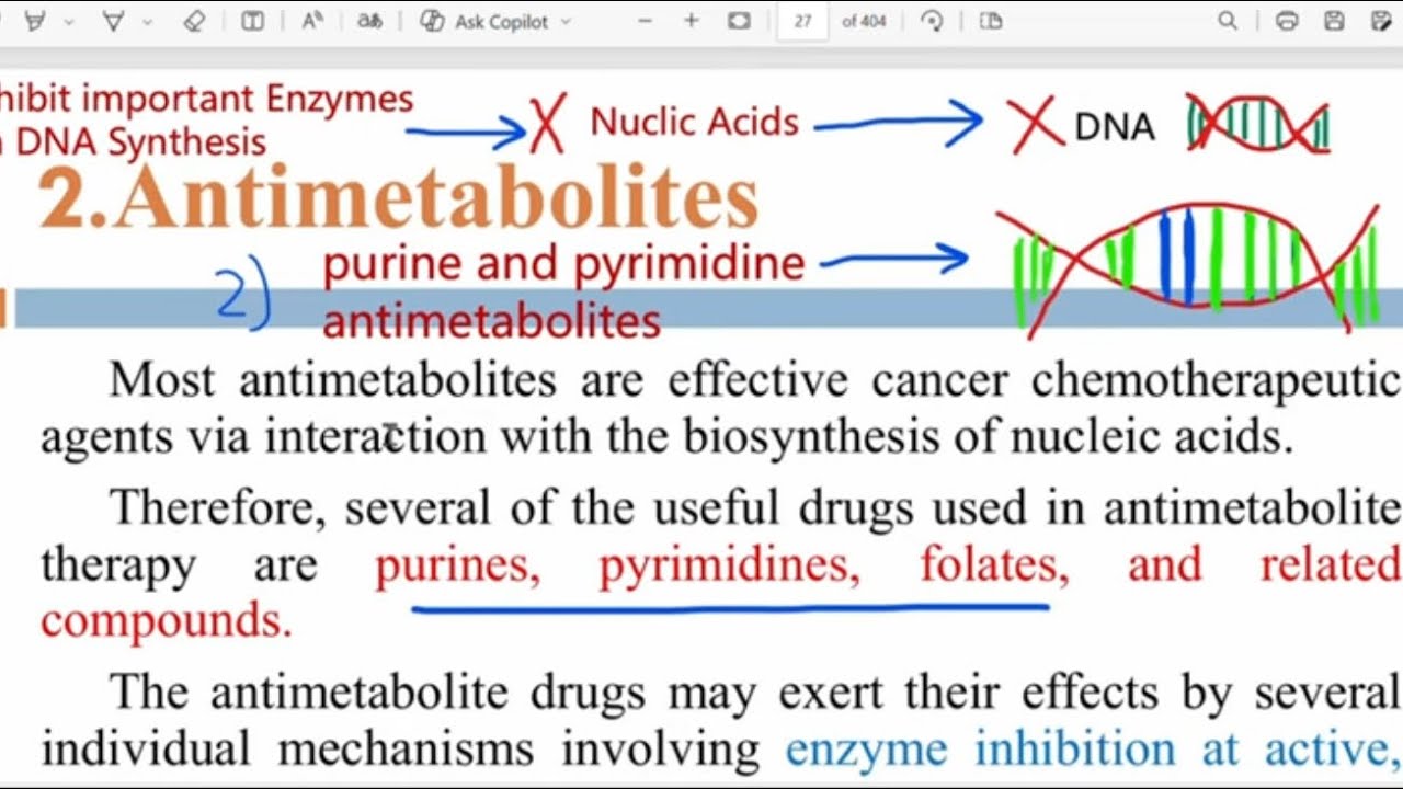 شرح Anti Metabolite عضوية تقيمي مرحلة رابعة 