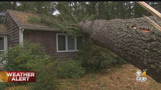 Storm Wreaks Havoc Across The South Shore
