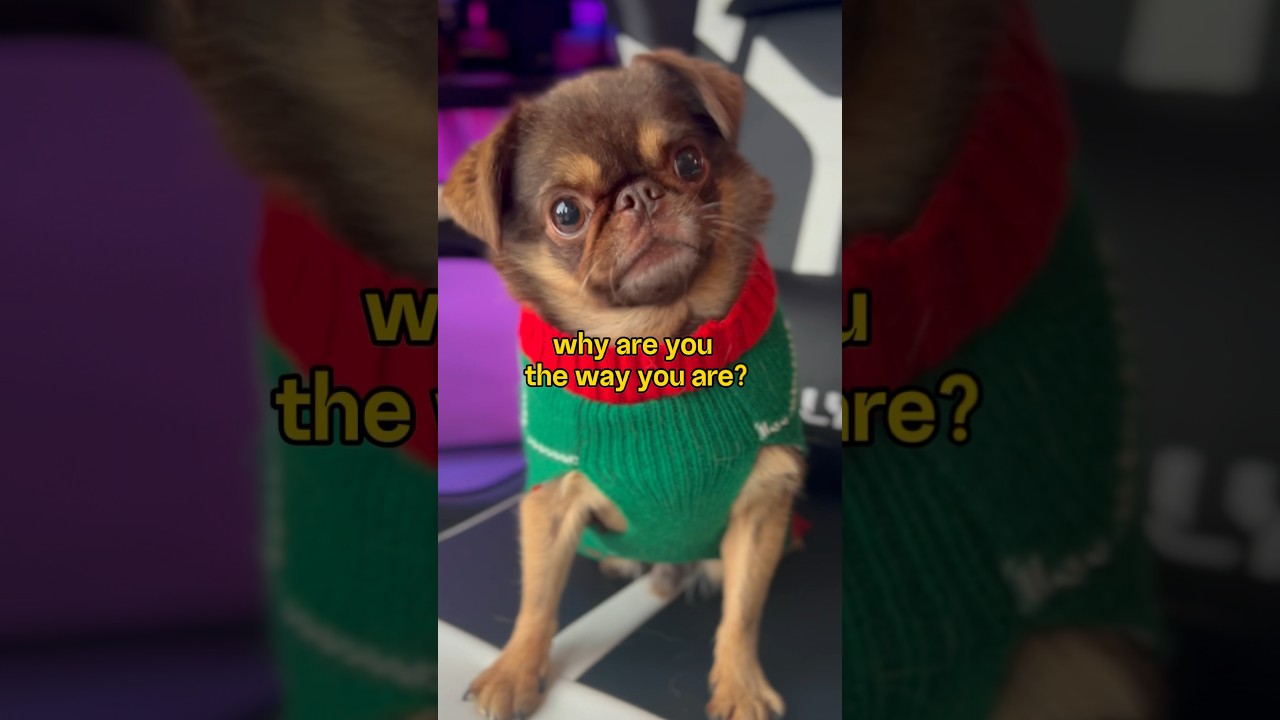 Mind BLOWING Thoughts That MELTED My Brain 🫠 