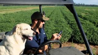 Variable Rate Irrigation (VRI) for Agriculture