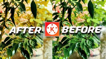 Cinematic Colour Grading On Android  | Kinemaster Video Editi