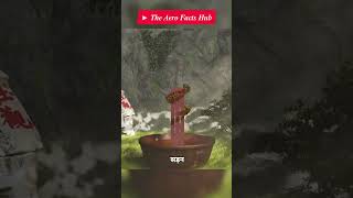 चट्टान से लटका रहस्यमयी मंदिर | Hanging Temple Engineering Explained#facts #Short #engineering