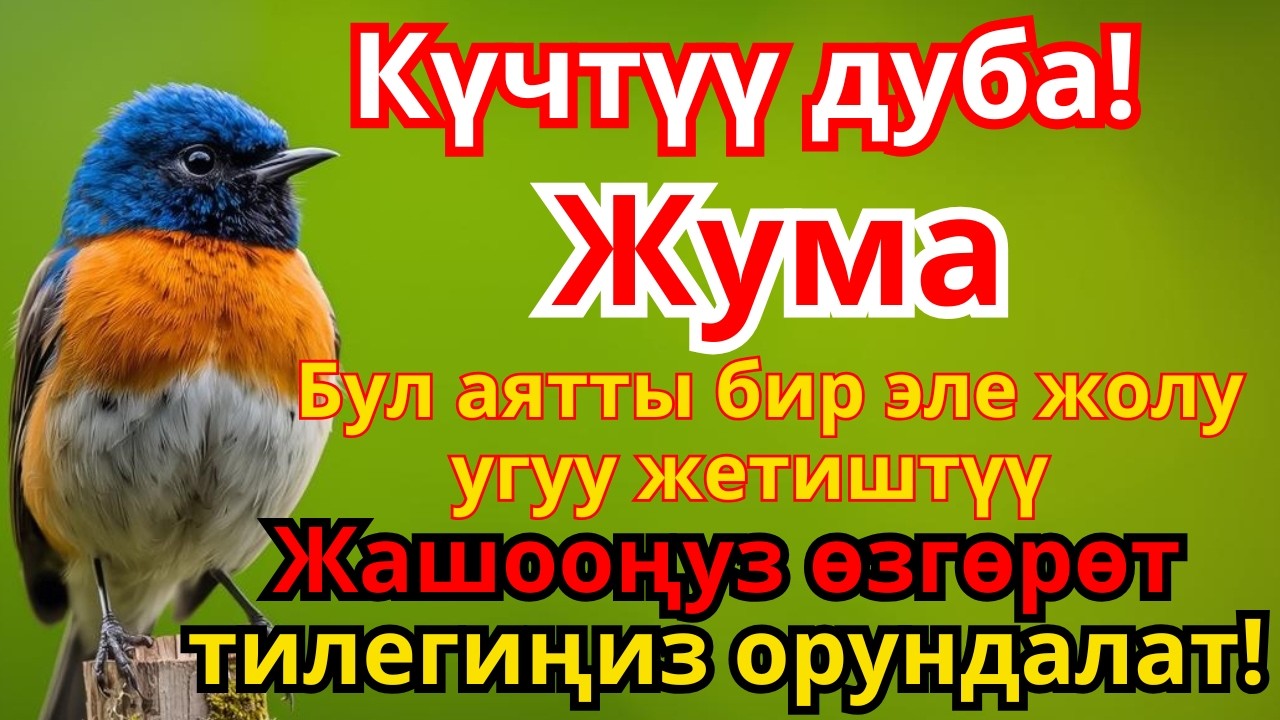 Аллах угуучу 🤍 Жума күнү окула турган эң КҮЧТҮҮ ДУБА