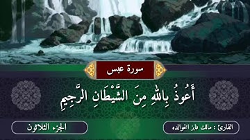 سورة عبس بصوت القارئ مالك فايز الخوالده