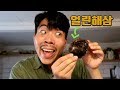 해삼을 얼리고 다시 물에 넣으면 살아날까?! Freeze sea Cucumbers