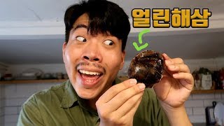 해삼을 얼리고 다시 물에 넣으면 살아날까?! Freeze sea Cucumbers