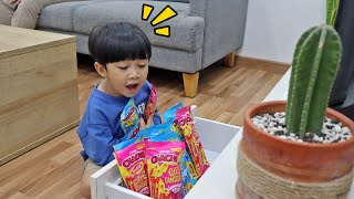 Berburu Harta Karun ChaCha Minis Surprise Banyak Mainan Baru | Dunia Kyo