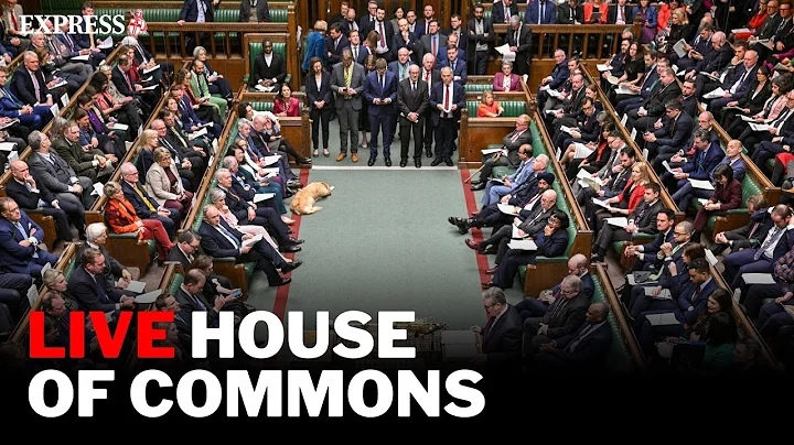 LIVE: MPs sit for FINAL day in Commons before Christmas, with focus on Animal Welfare Strategy