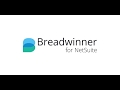 NetSuite and Salesforce Integration Demo Video