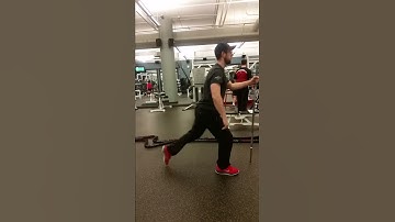 Supported Reverse Lunge