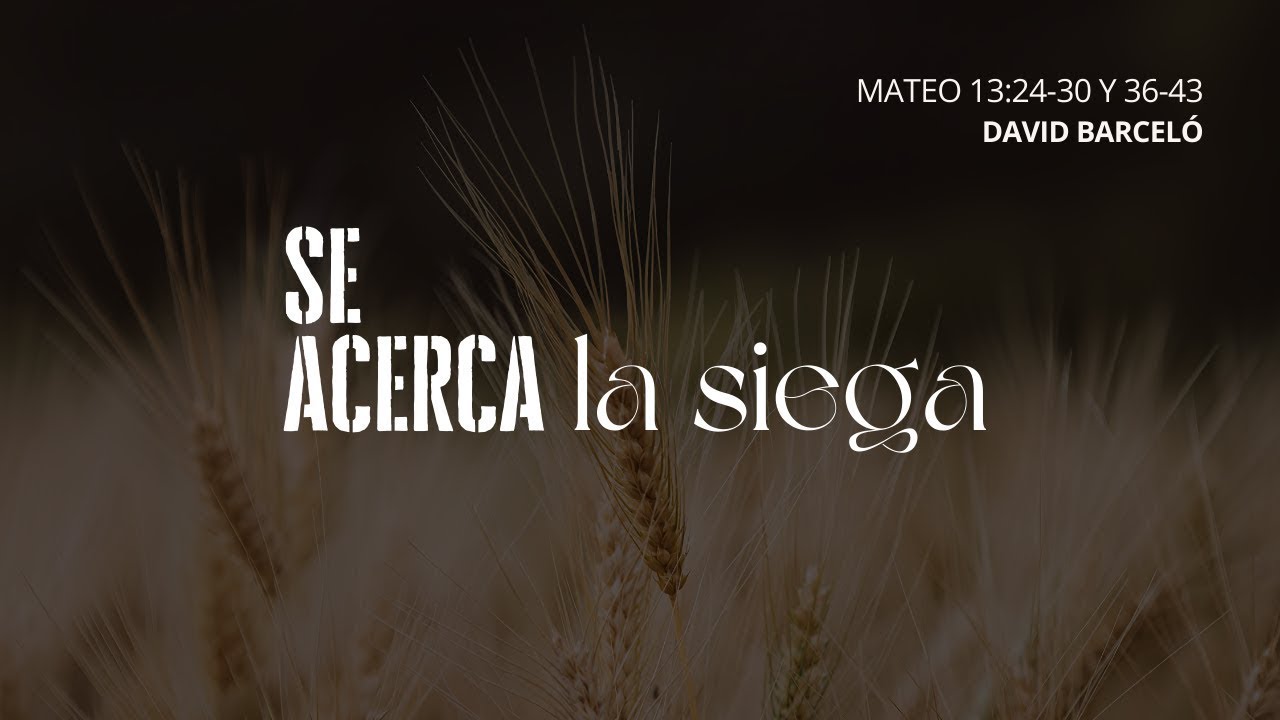 Se acerca la siega | David Barceló