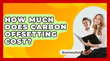 How Much Does Carbon Offsetting Cost? - BusinessGuide360.com