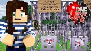 Hostile Wolf Shelter! - One Life Minecraft SMP (Ep.16)