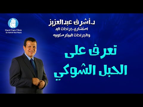 مسؤولية الحبل الشوكي ماذا يحدث إذا أصيب الحبل الشوكي أفضل دكتور جراحات اليد في مصر