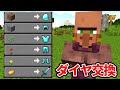 アイテム交換がバグった村人だけでエンドラ討伐【マイクラ】