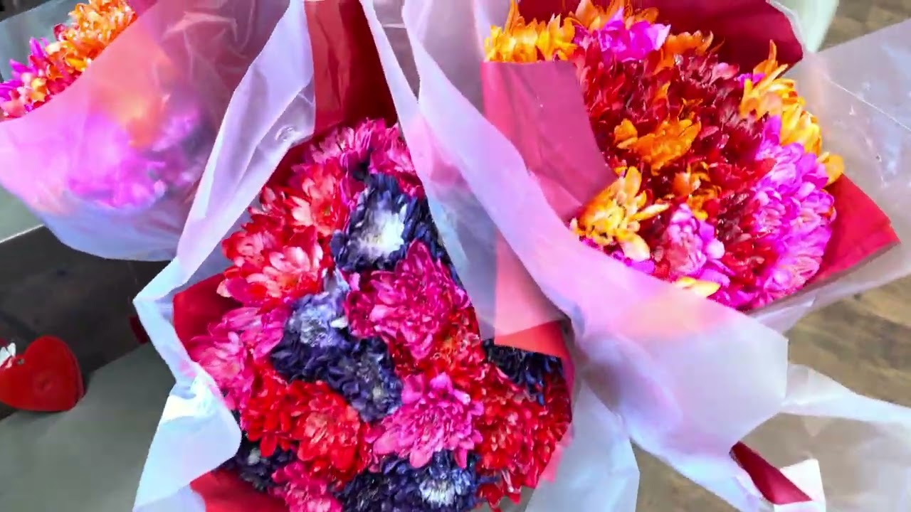 Happy Valentine's Day