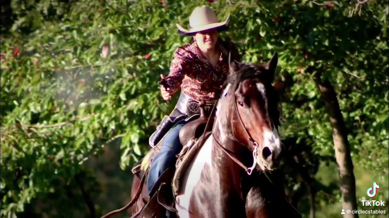 The Best of the West Horse Sale Sept 2728th, Gladstone NJ Lot 48