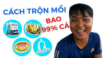 4 MÓN ĐỂ LÀM MỒI ĐI CÂU CÁ SÔNG HIỆU QUẢ NHẤT