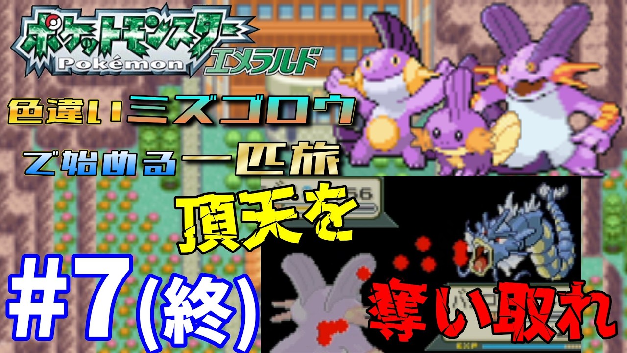 色違いミズゴロウで始める一匹旅 #7(終)【ポケットモンスターエメラルド】