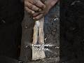 Forest crafts, fire plough #primitivefirelighting #bushcraft