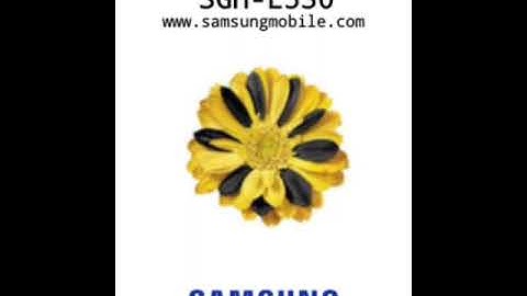 [RECREATION] Samsung SGH-E530 (Beeline) Startup and Shutdown Animations