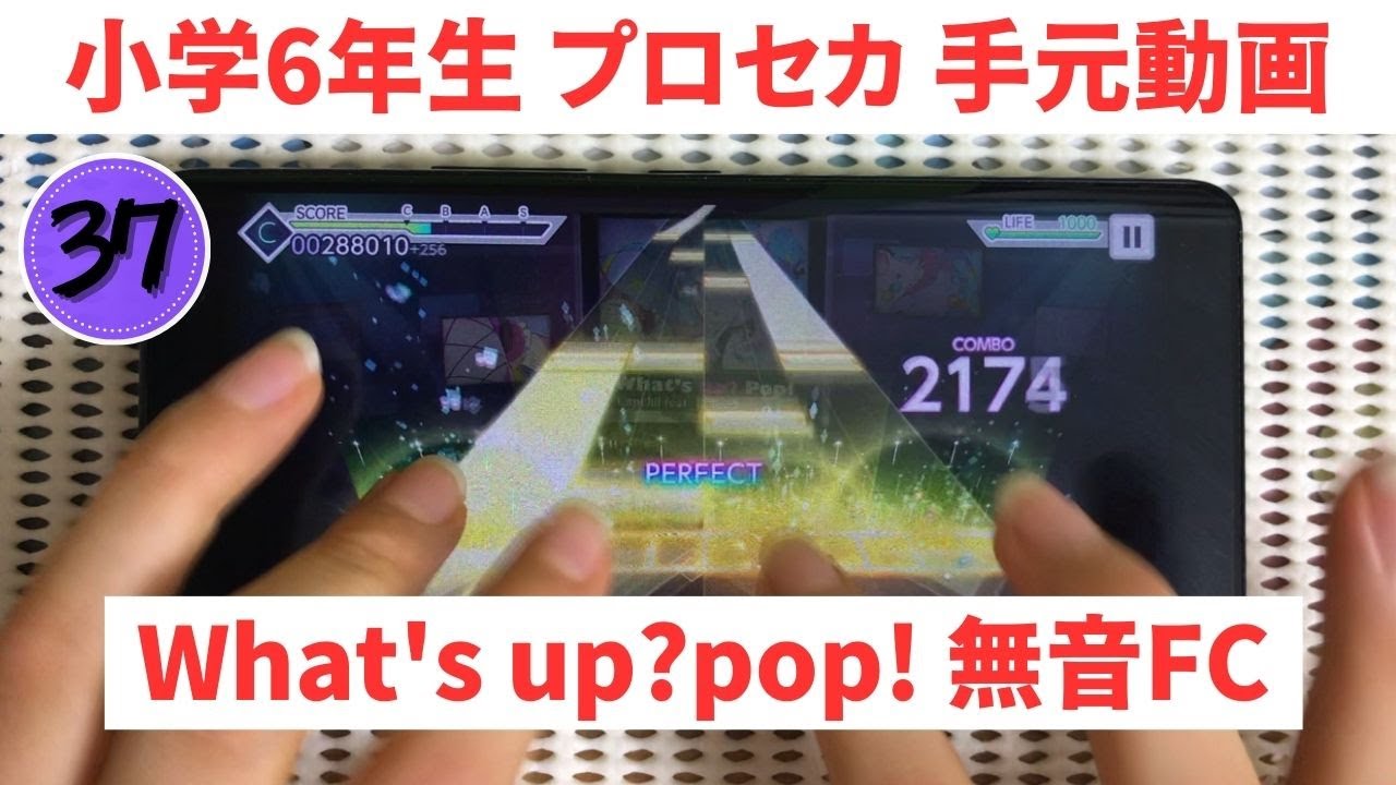 Y♡☞プロフ必読様ブルーm翌日発送 ちいかわ