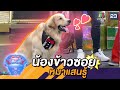 ข้าวซอย หมาแสนรู้ | ชิงร้อยชิงล้าน ว้าว ว้าว ว้าว